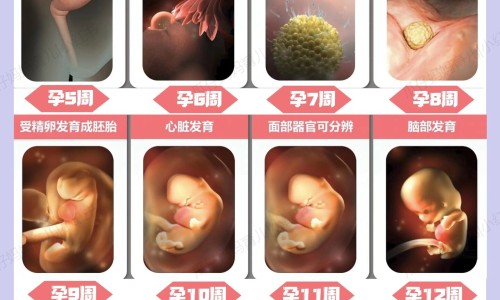 哺乳期克感敏可以吃吗网—知名的哺乳期能吃克感敏片吗网站,分享哺乳可以吃克感敏颗粒吗知识