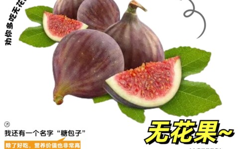 克感敏哺乳期能吃吗-哺乳期克感敏可以吃吗网—知名的哺乳期能吃克感敏片吗网站,分享哺乳可以吃克感敏颗粒吗知识